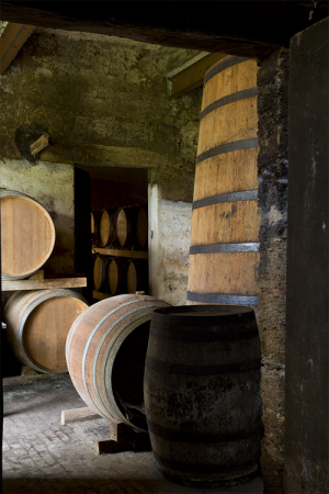 VIEUX-CHAIS -ARMAGNAC-CASTAREDE